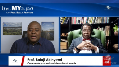 Photo of Akinyemi says Mandela suffers from same public perception issues as Churchill and Ghandi