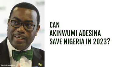 Photo of Can Akinwumi Adesina save Nigeria?