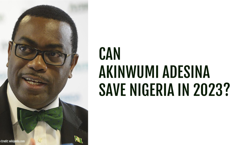 Photo of Can Akinwumi Adesina save Nigeria?