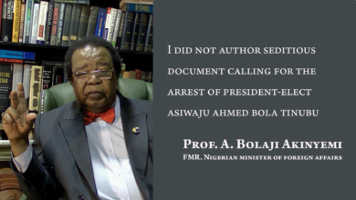 Photo of I did not author seditious document calling for arrest of President-elect, Asiwaju Ahmed Bola Tinubu – Prof. A. Bolaji Akinyemi