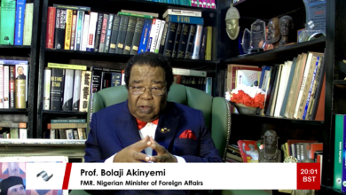 Photo of Foreign businessmen and embassies work hand in hand to destabilise your government if you don’t do their bidding – Prof. Bolaji Akinyemi